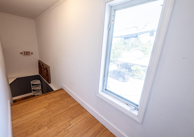 1124 Catherine St Unit 201, Key West, FL 33040 - hall featuring ornamental molding, light wood-type flooring, and baseboards