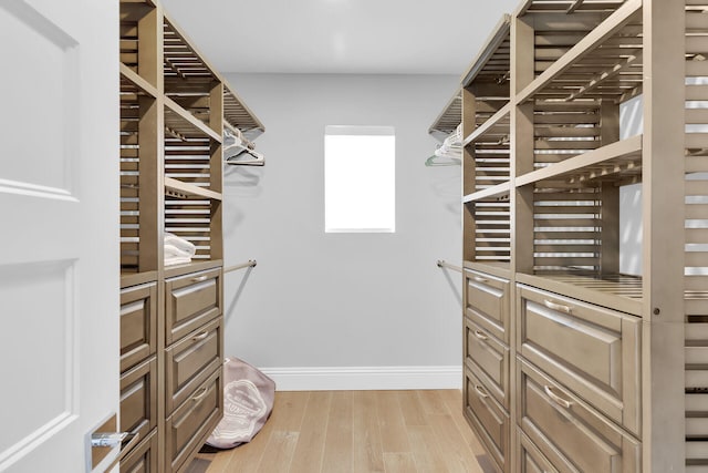 spacious closet with hardwood / wood-style flooring