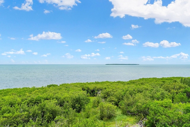 500 Burton Dr Unit 4402, Tavernier, FL 33070 - photo 2