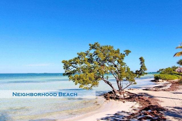 property view of water featuring a beach view