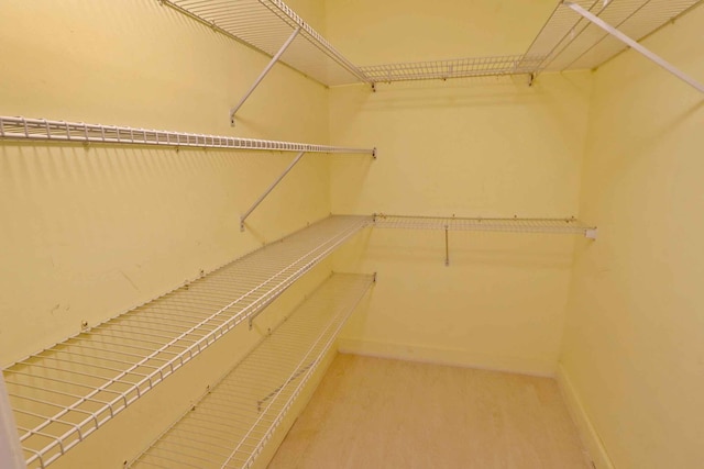 view of walk in closet