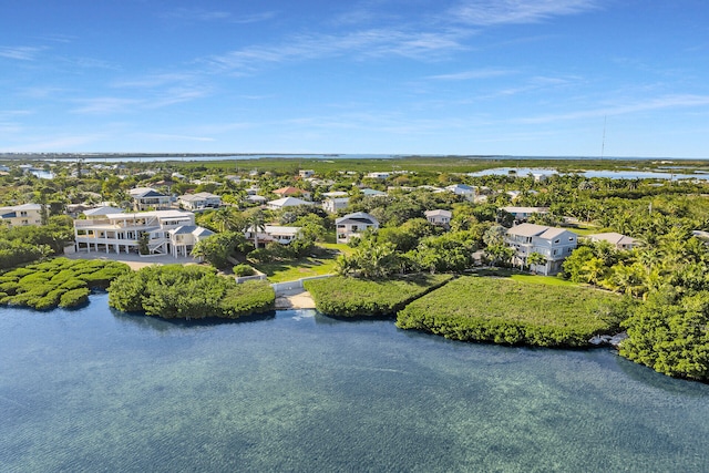 drone / aerial view with a water view and a residential view