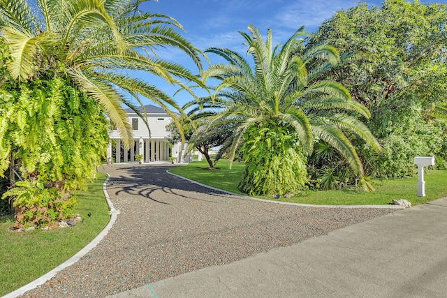 view of street featuring driveway