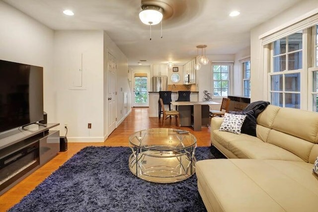 living room featuring light hardwood / wood-style floors