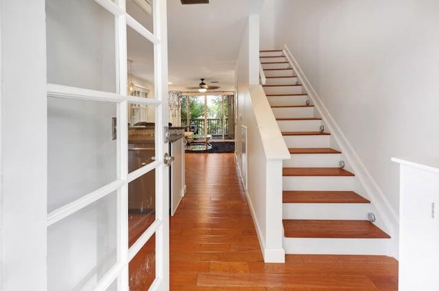 staircase with wood-type flooring and ceiling fan