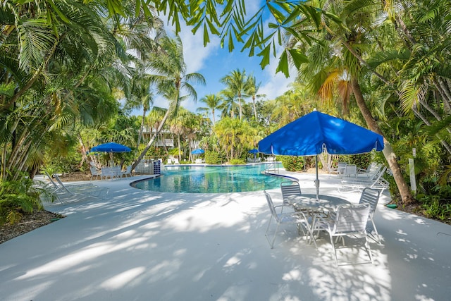 view of pool featuring a patio