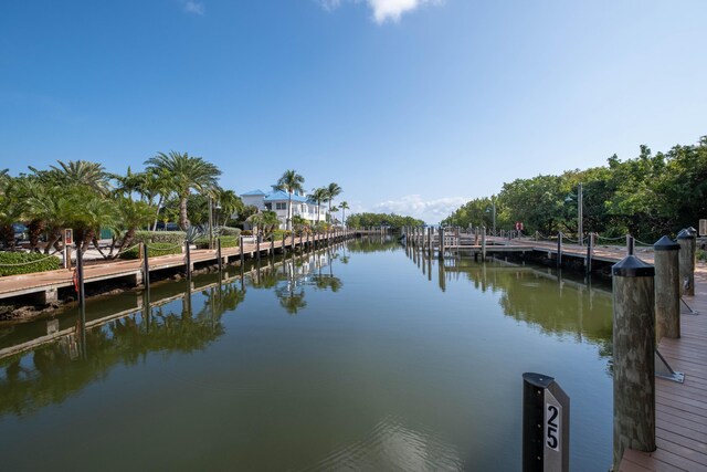 dock area with a water view