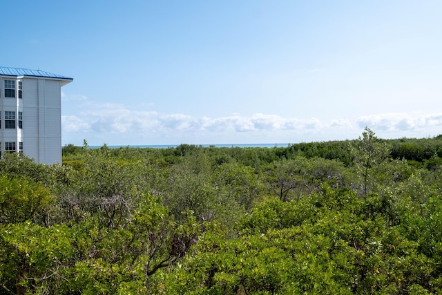 view of local wilderness