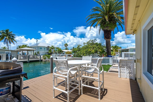 dock area with a water view