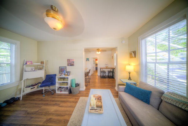 living room with wood-type flooring