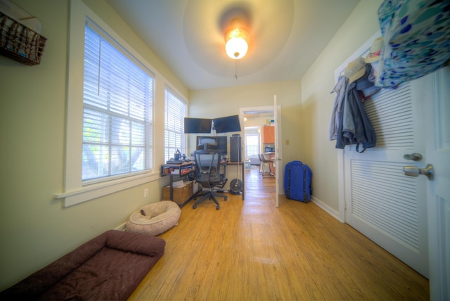 office area featuring wood-type flooring