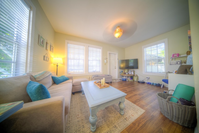 living room featuring wood-type flooring