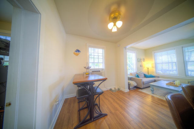 living room with wood-type flooring