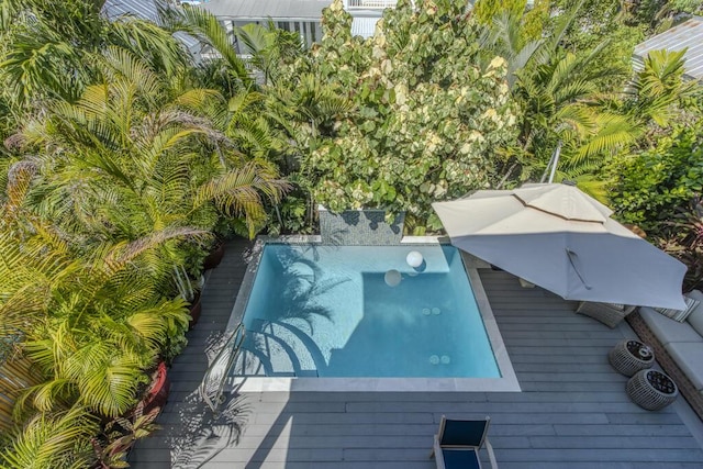 810 Terry Ln, Key West, FL 33040 - view of pool