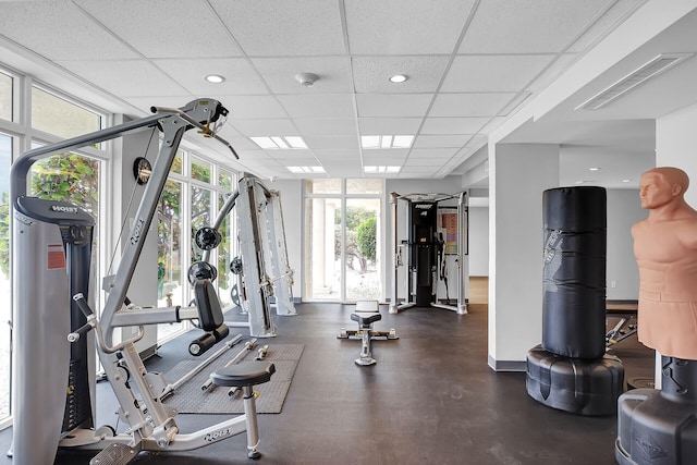 gym featuring a paneled ceiling and a wall of windows