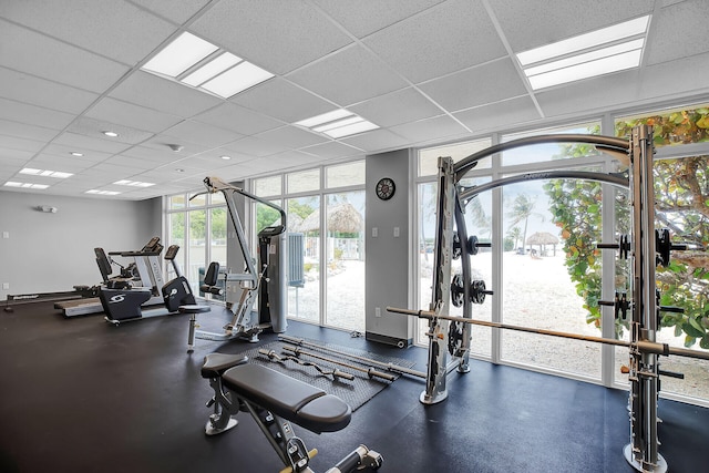 workout area with expansive windows and a paneled ceiling