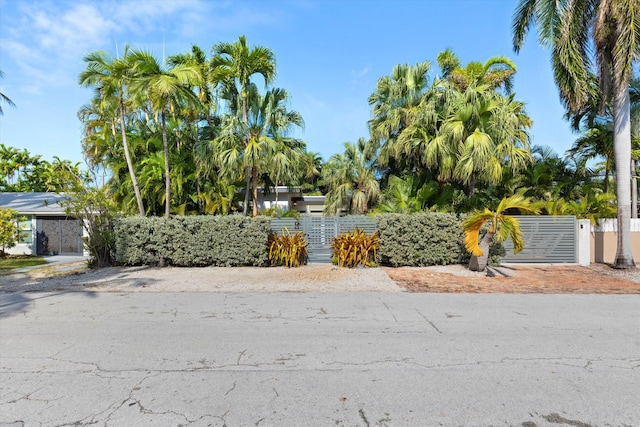 fenced front yard with a gate