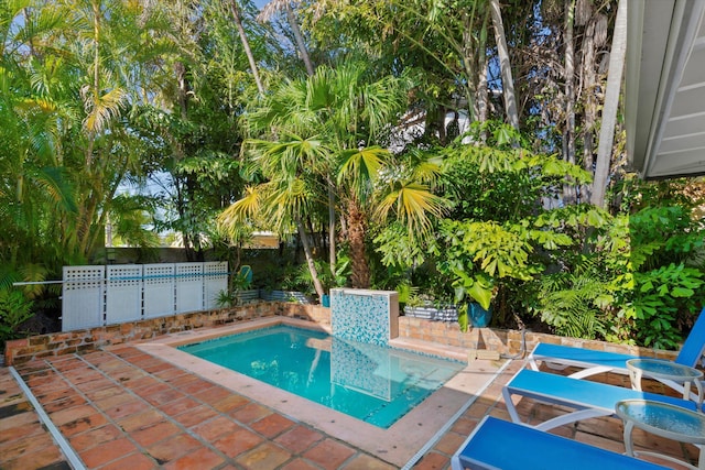 view of pool featuring a patio area