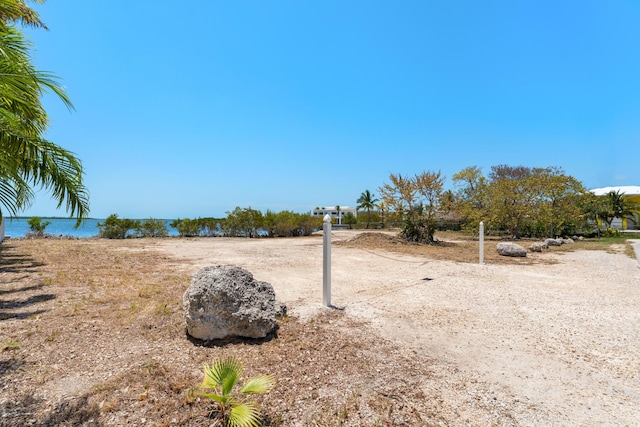 3742 Seagrape St, Big Pine, FL 33043 - view of yard