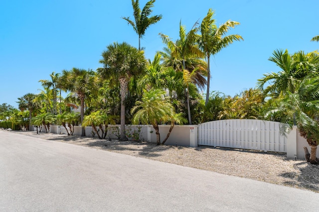 3742 Seagrape St, Big Pine, FL 33043 - view of asphalt street featuring a gate