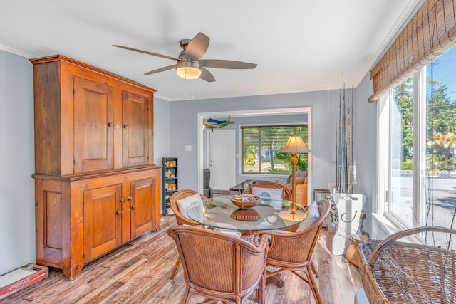 dining area with ornamental molding, ceiling fan, and light wood-type flooring