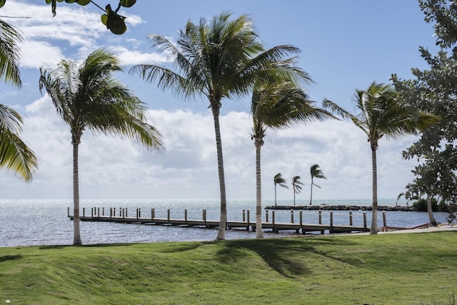 dock area with a water view and a lawn