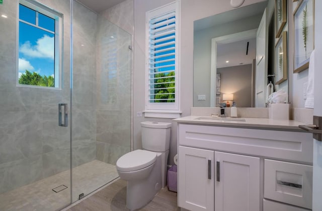 bathroom with vanity, toilet, and a shower with door