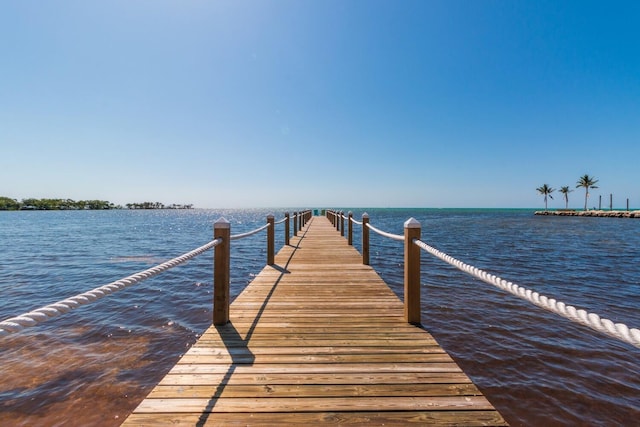 dock area featuring a water view