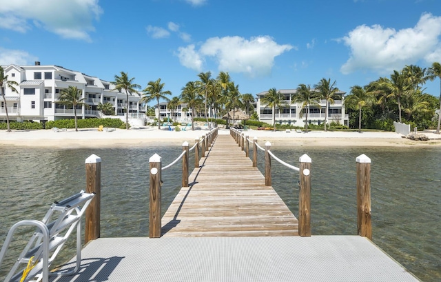 dock area with a water view