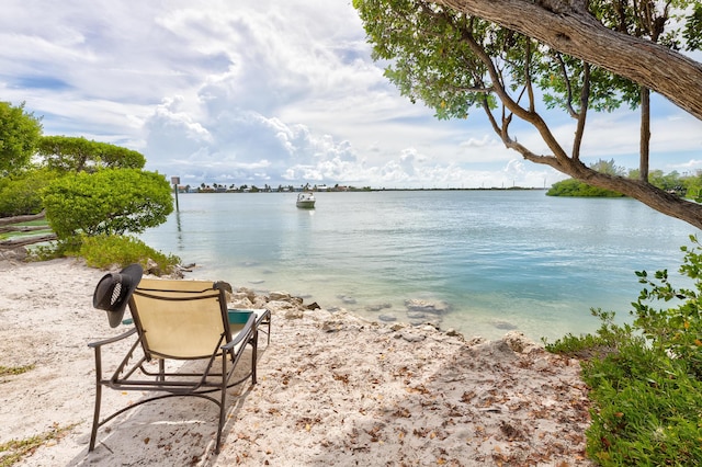 property view of water