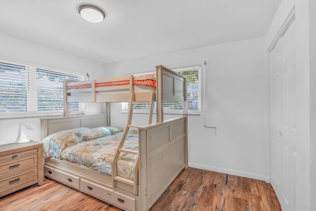 bedroom featuring multiple windows, wood-type flooring, and a closet