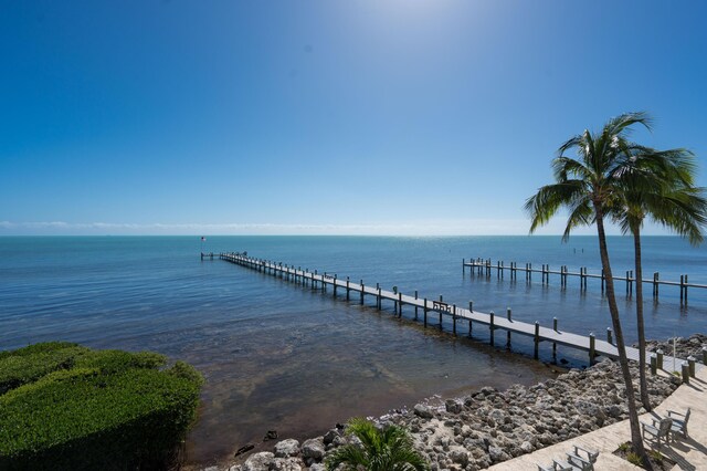 dock area with a water view