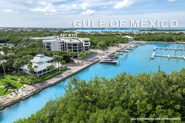 6301 Gulf Of Mexico Blvd Unit 301, Marathon, FL 33050 - bird's eye view with a water view