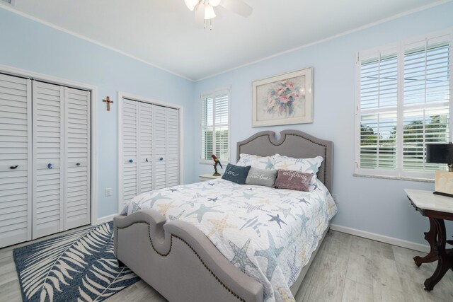 bedroom featuring two closets, ornamental molding, ceiling fan, and light wood-type flooring