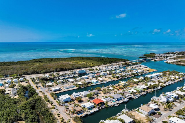 aerial perspective of suburban area featuring a large body of water