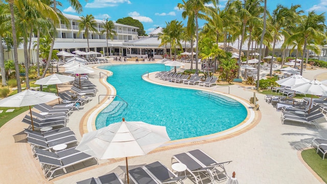 view of swimming pool with a patio