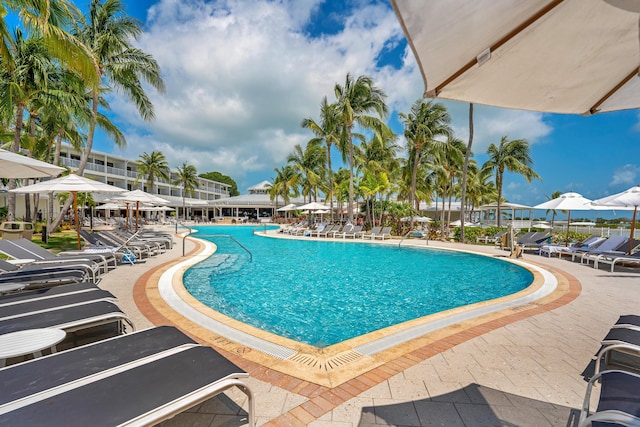 view of swimming pool with a patio area