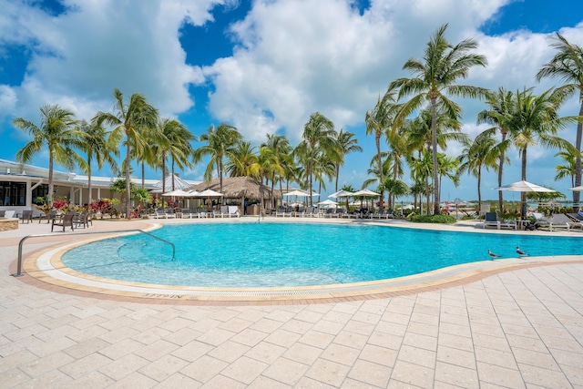 view of pool with a patio