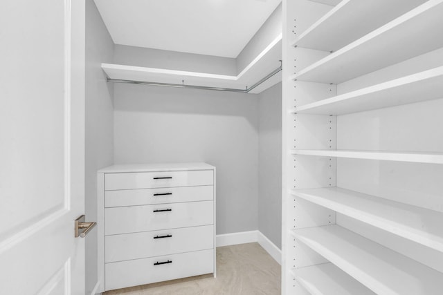 view of spacious closet