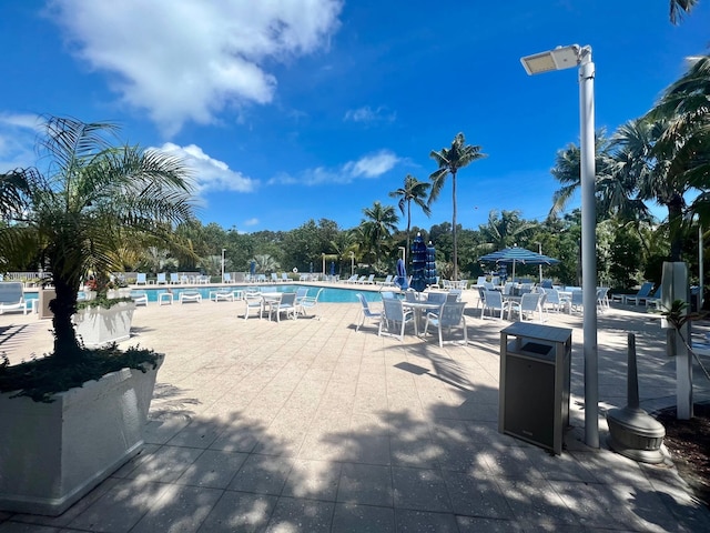 view of swimming pool featuring a patio area