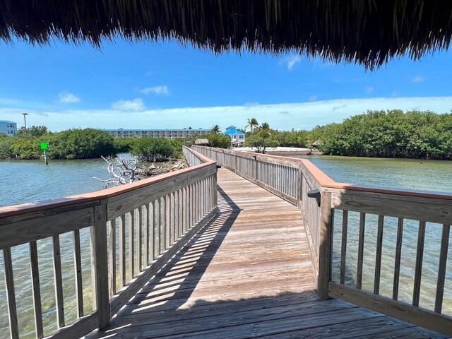 dock area with a water view