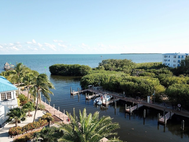 property view of water with a dock