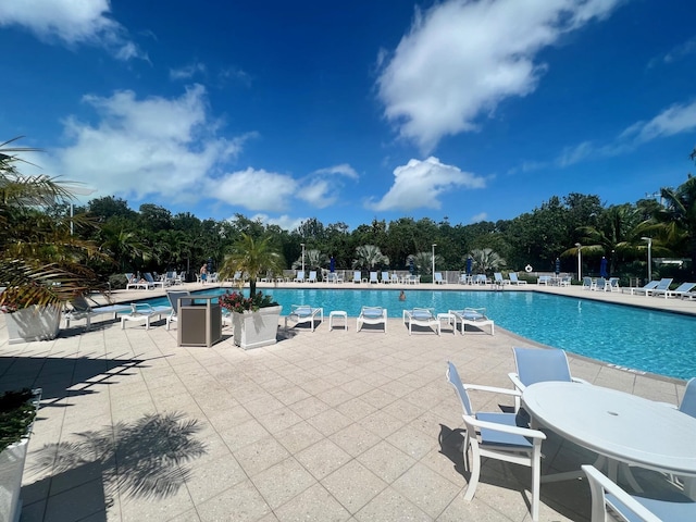 view of pool featuring a patio area