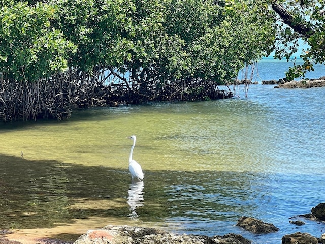 water view