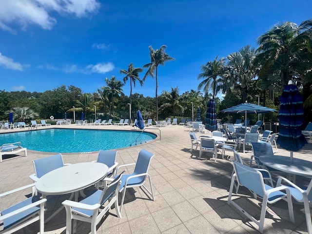 view of swimming pool featuring a patio area