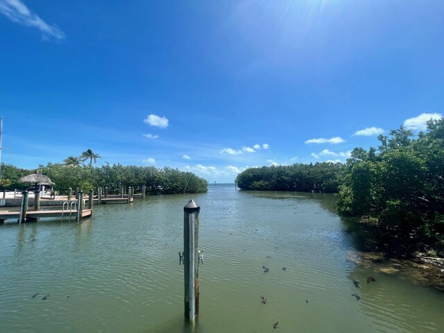 property view of water with a dock