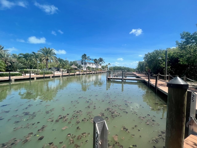 dock area with a water view