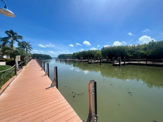 dock area with a water view