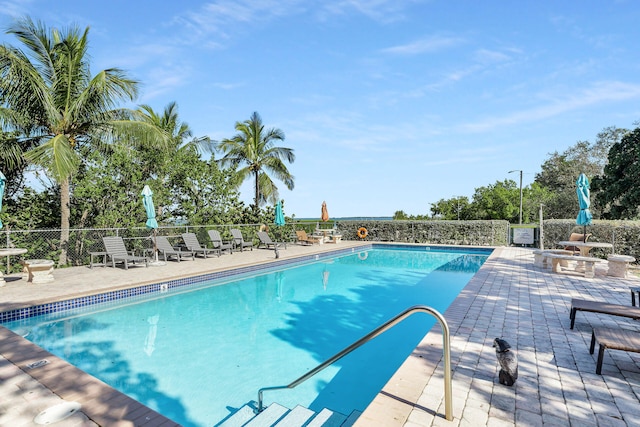 view of swimming pool featuring a patio