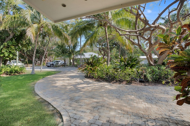 view of property's community with a lawn